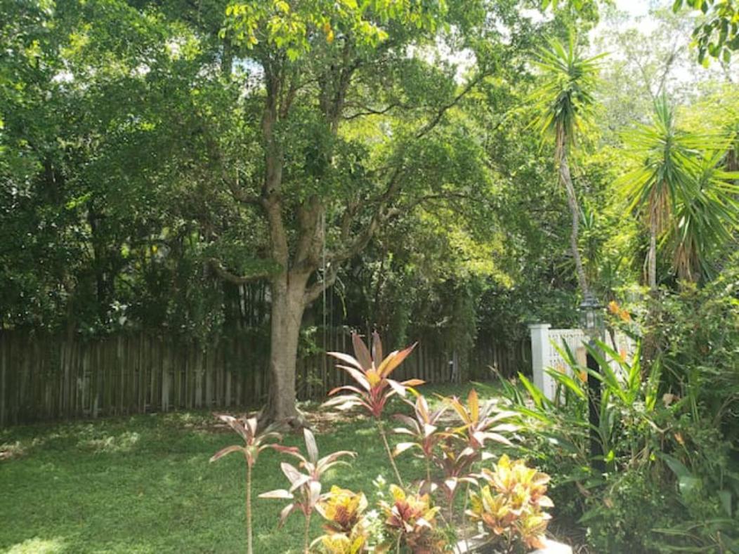 Apts With Backyard Near Fort Lauderdale Beach, Nightlife, Cruise Port, Airport 외부 사진